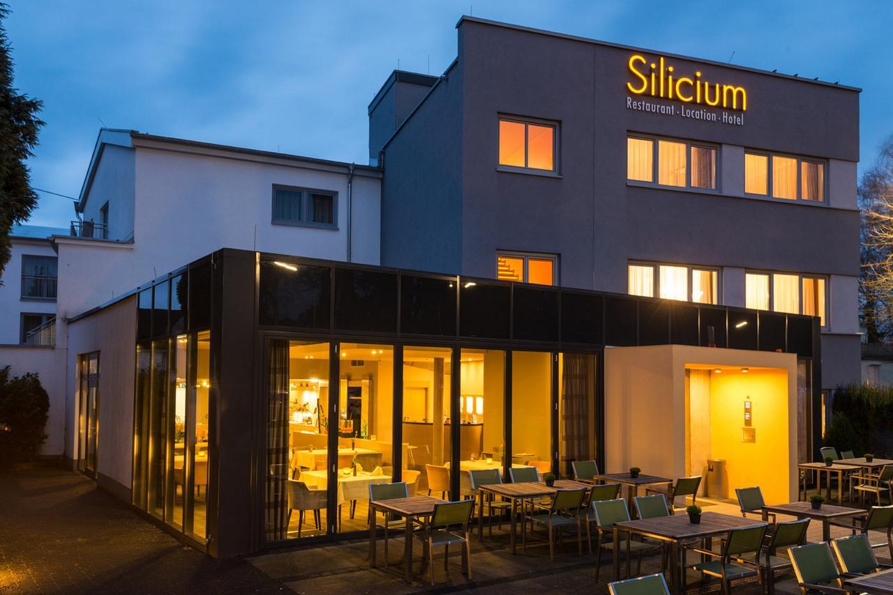 Hotel Silicium Höhr-Grenzhausen Zewnętrze zdjęcie